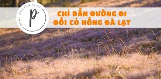 Hướng dẫn đường đi Đồi Cỏ Hồng đẹp nhất Đà Lạt 2018 Hướng dẫn đường đi Đồi Cỏ Hồng đẹp nhất Đà Lạt 2018