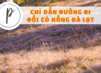 Hướng dẫn đường đi Đồi Cỏ Hồng đẹp nhất Đà Lạt 2018