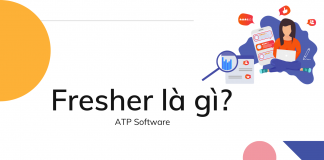 Fresher là gì? Kiến thức cần biết về Fresher Fresher là gì? Kiến thức cần biết về Fresher