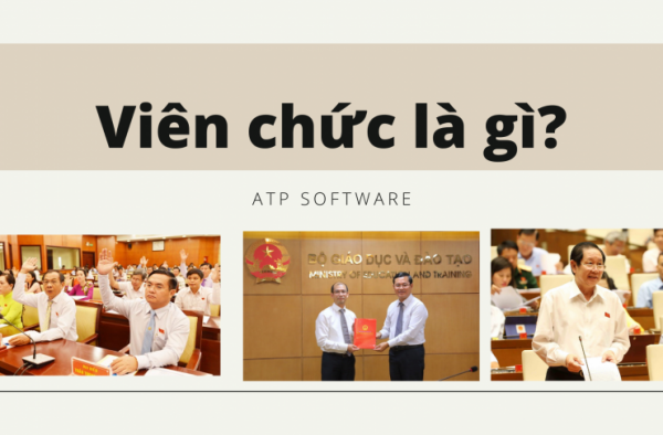 viên chức là gì