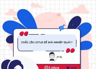Mạng xã hội Lotus giờ ra sao? Mạng xã hội Lotus giờ ra sao?