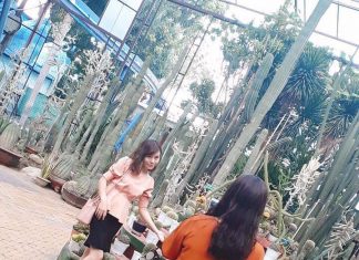 Viết nhân Ngày Của Mẹ