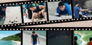 Review chi tiết 12 ngày đêm tham gia Tình Nguyện Viên bảo tồn rùa biển tại Côn Đảo (TNV Rùa Biển)