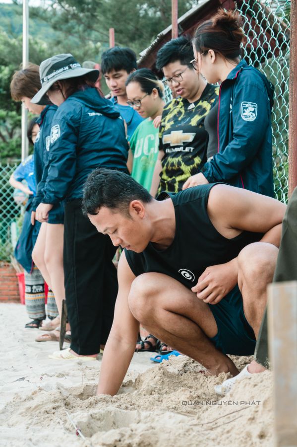 Review chương trình tình nguyện viên rùa biển - TNV Rùa Biển Côn Đảo - TNV đào hố chôn trứng rùa